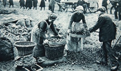 Women War-workers on the land, illustration from 